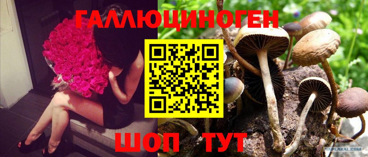 Гашиш  Меф МЯУ МЯУ   Экстази  Чебаркуль  Cocaine  Наркошоп  Вход с VPN  Канабис 