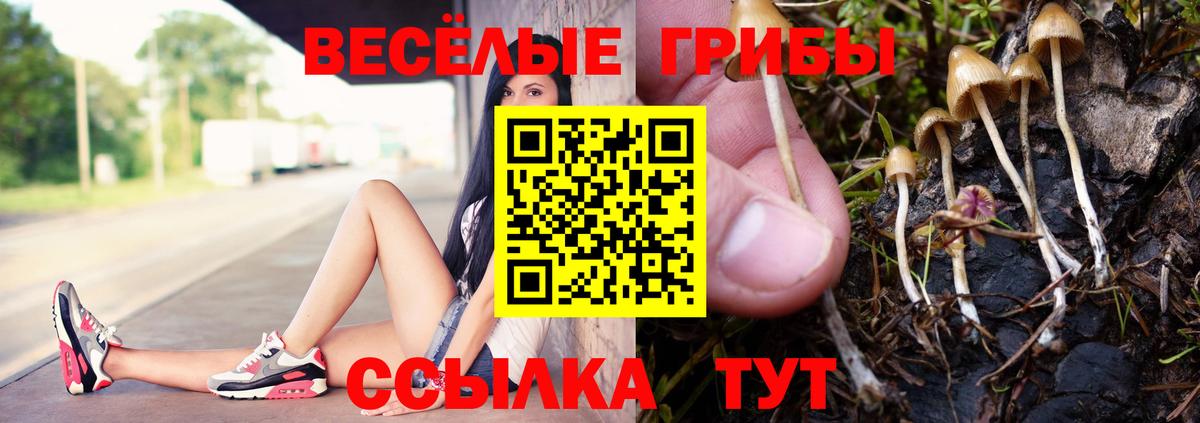 Галлюциногенные грибы прущие грибы  Вход с VPN  Чебаркуль 