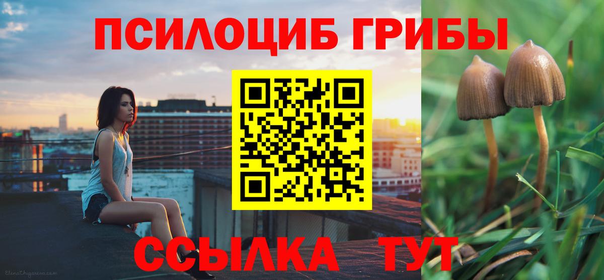 Псилоцибиновые грибы прущие грибы Чебаркуль