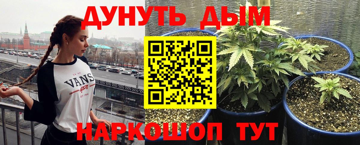 МАРИХУАНА Amnesia  Бошки марихуана Ganja  Вход с VPN  Каннабис ГИДРОПОН  Чебаркуль  Конопля Bruce Banner 